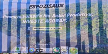 Dezenvolve Setór Produtivu Ajuda Ekonomia Nasaun